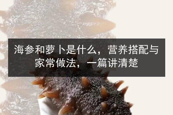 海参和萝卜是什么，营养搭配与家常做法，一篇讲清楚
