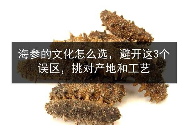 海参的文化怎么选,避开这3个误区,挑对产地和工艺