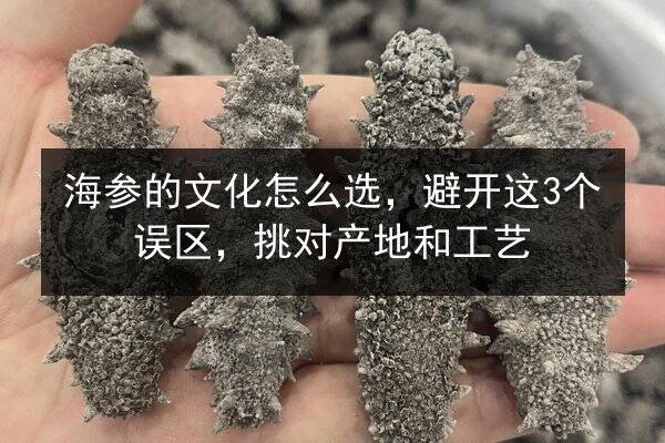 海参的文化怎么选,避开这3个误区,挑对产地和工艺
