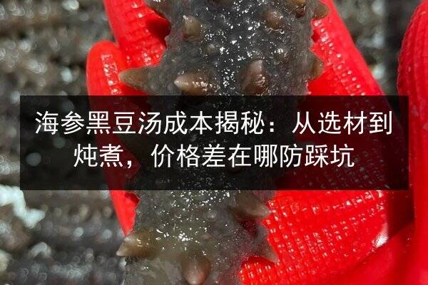 海参黑豆汤成本揭秘:从选材到炖煮,价格差在哪防踩坑
