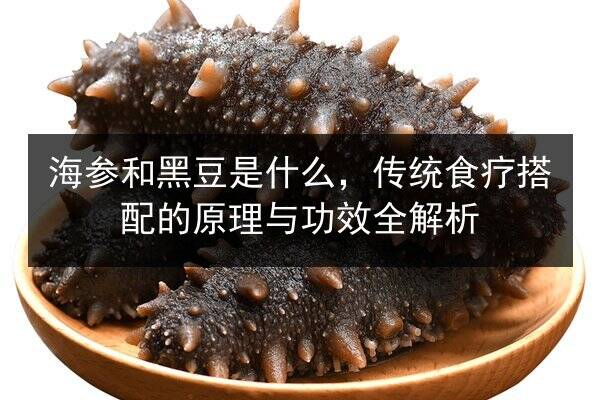 海参和黑豆是什么,传统食疗搭配的原理与功效全解析