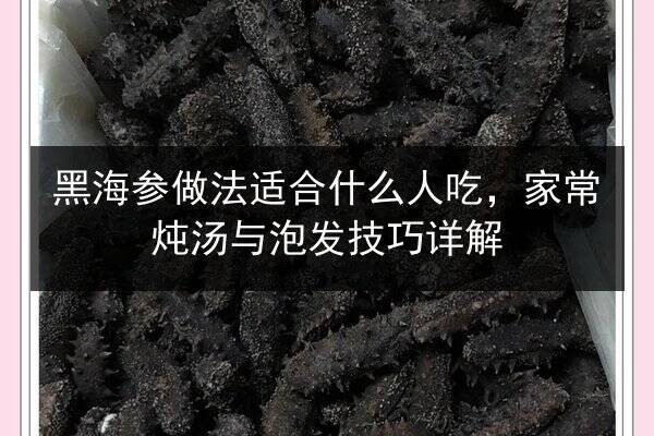 黑海参做法适合什么人吃,家常炖汤与泡发技巧详解