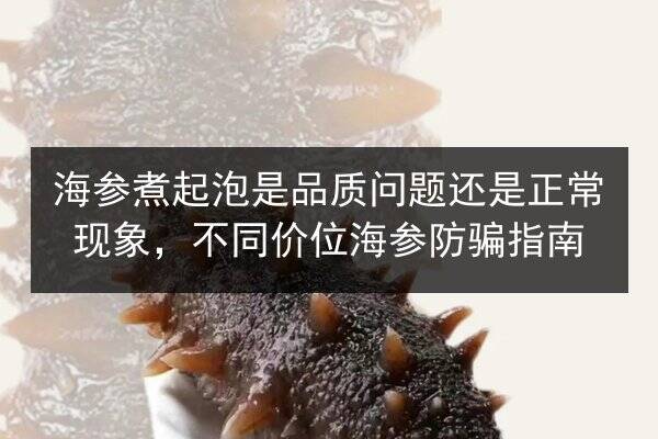 海参煮起泡是品质问题还是正常现象，不同价位海参防骗指南