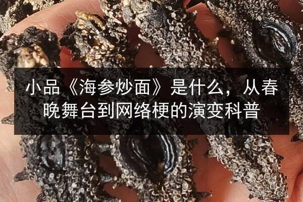 小品《海参炒面》是什么,从春晚舞台到网络梗的演变科普