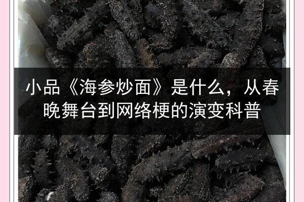 小品《海参炒面》是什么,从春晚舞台到网络梗的演变科普