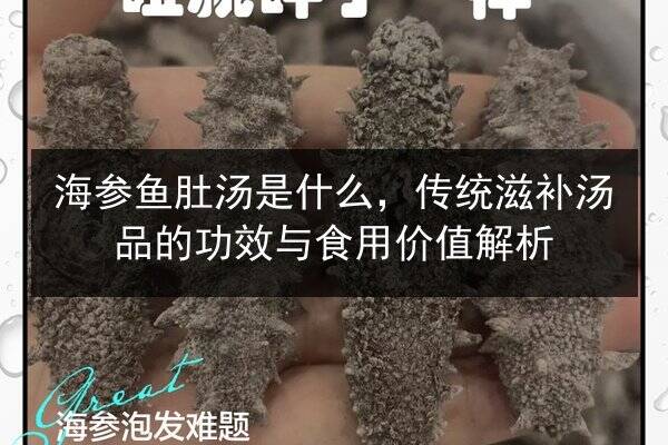 海参鱼肚汤是什么,传统滋补汤品的功效与食用价值解析