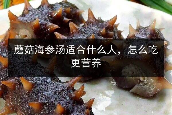 蘑菇海参汤适合什么人,怎么吃更营养