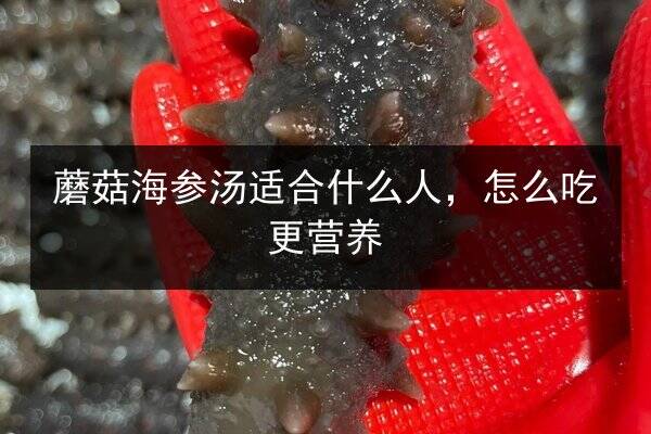 蘑菇海参汤适合什么人,怎么吃更营养