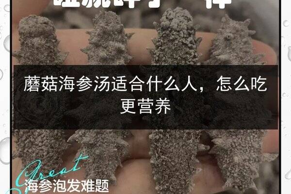 蘑菇海参汤适合什么人,怎么吃更营养