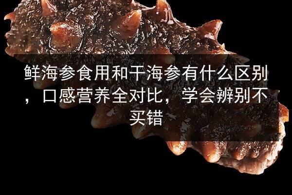 鲜海参食用和干海参有什么区别,口感营养全对比,学会辨别不买错