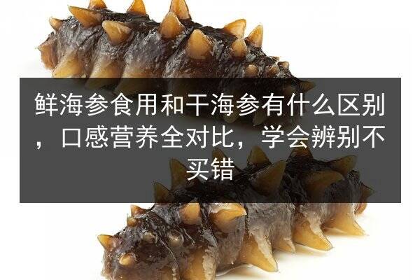 鲜海参食用和干海参有什么区别,口感营养全对比,学会辨别不买错