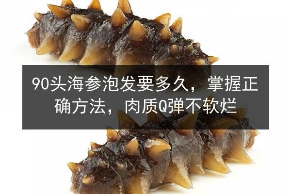 90头海参泡发要多久,掌握正确方法,肉质Q弹不软烂
