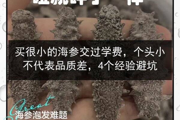 买很小的海参交过学费,个头小不代表品质差,4个经验避坑