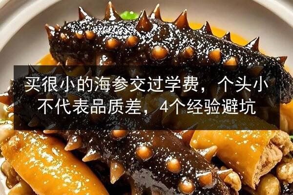 买很小的海参交过学费,个头小不代表品质差,4个经验避坑