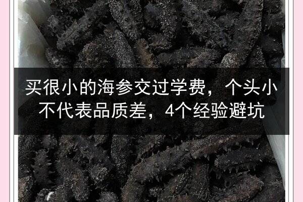 买很小的海参交过学费,个头小不代表品质差,4个经验避坑