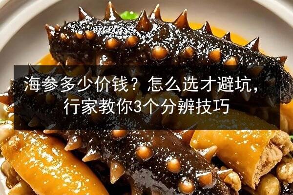 海参多少价钱？怎么选才避坑，行家教你3个分辨技巧