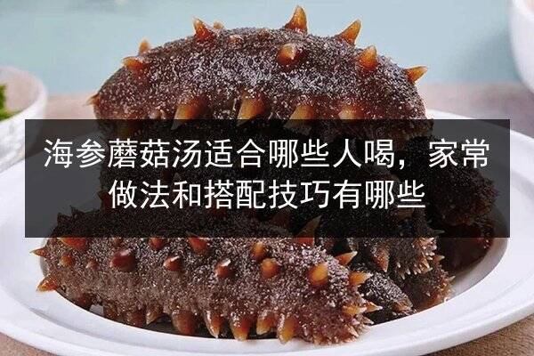 海参蘑菇汤适合哪些人喝，家常做法和搭配技巧有哪些