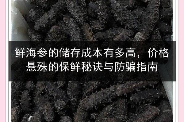 鲜海参的储存成本有多高,价格悬殊的保鲜秘诀与防骗指南