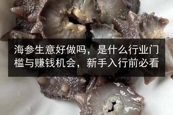 海参生意好做吗，是什么行业门槛与赚钱机会，新手入行前必看
