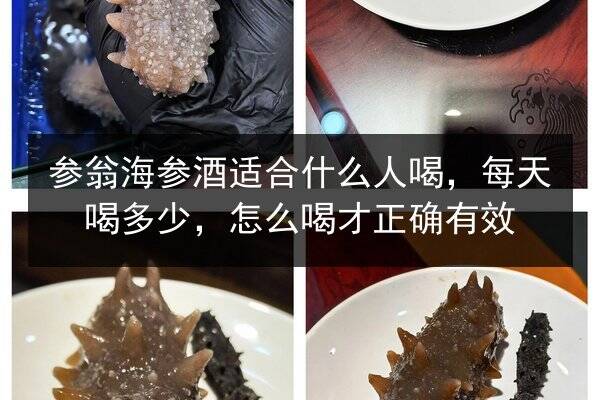 参翁海参酒适合什么人喝,每天喝多少,怎么喝才正确有效