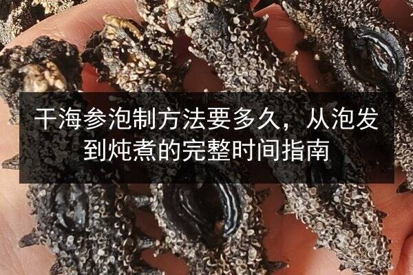 干海参泡制方法要多久，从泡发到炖煮的完整时间指南