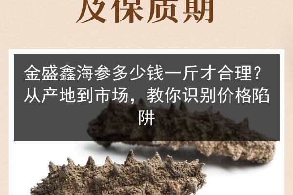 金盛鑫海参多少钱一斤才合理？从产地到市场，教你识别价格陷阱