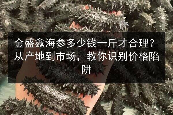 金盛鑫海参多少钱一斤才合理？从产地到市场，教你识别价格陷阱