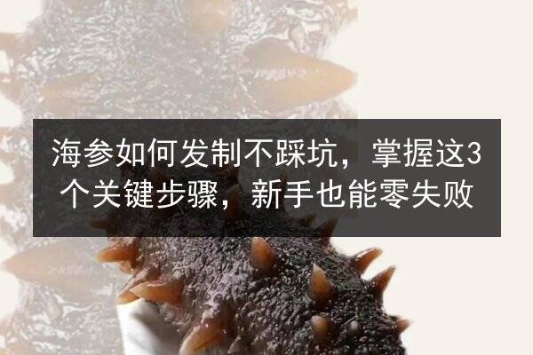 海参如何发制不踩坑，掌握这3个关键步骤，新手也能零失败