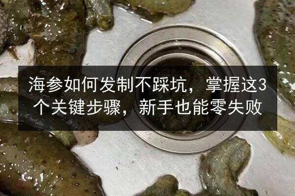 海参如何发制不踩坑，掌握这3个关键步骤，新手也能零失败