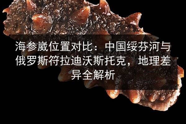 海参崴位置对比:中国绥芬河与俄罗斯符拉迪沃斯托克,地理差异全解析