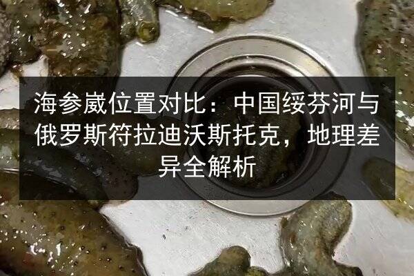 海参崴位置对比:中国绥芬河与俄罗斯符拉迪沃斯托克,地理差异全解析