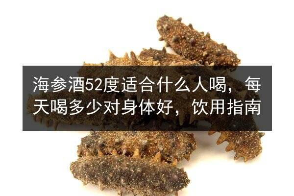 海参酒52度适合什么人喝,每天喝多少对身体好,饮用指南