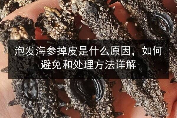 泡发海参掉皮是什么原因,如何避免和处理方法详解