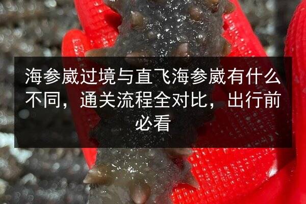 海参崴过境与直飞海参崴有什么不同,通关流程全对比,出行前必看