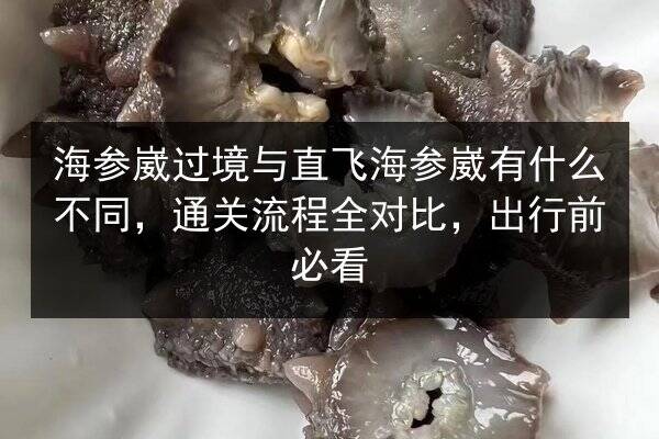 海参崴过境与直飞海参崴有什么不同,通关流程全对比,出行前必看