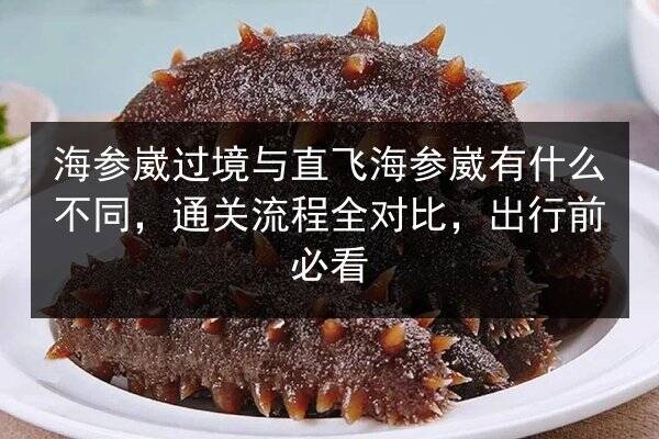 海参崴过境与直飞海参崴有什么不同,通关流程全对比,出行前必看