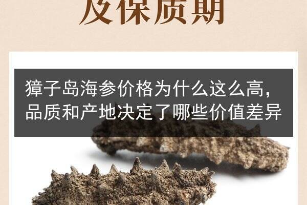 獐子岛海参价格为什么这么高,品质和产地决定了哪些价值差异