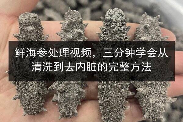 鲜海参处理视频,三分钟学会从清洗到去内脏的完整方法