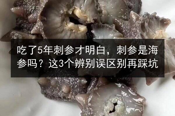 吃了5年刺参才明白，刺参是海参吗？这3个辨别误区别再踩坑