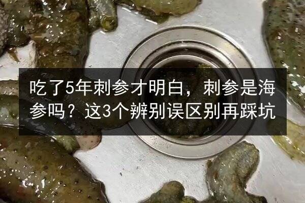吃了5年刺参才明白，刺参是海参吗？这3个辨别误区别再踩坑