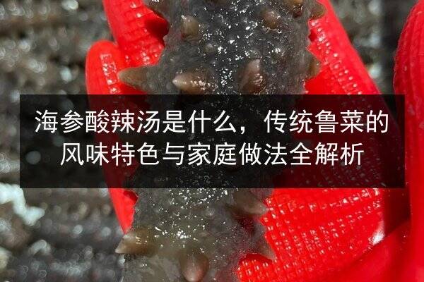 海参酸辣汤是什么,传统鲁菜的风味特色与家庭做法全解析