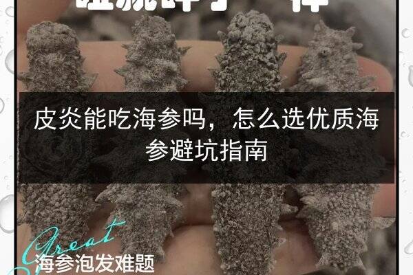 皮炎能吃海参吗,怎么选优质海参避坑指南