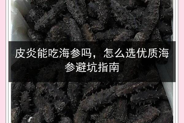 皮炎能吃海参吗,怎么选优质海参避坑指南
