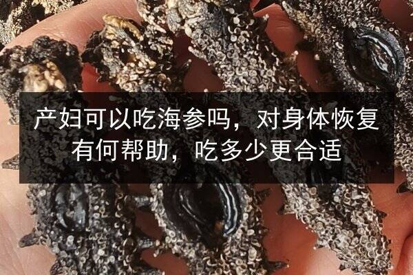 产妇可以吃海参吗,对身体恢复有何帮助,吃多少更合适
