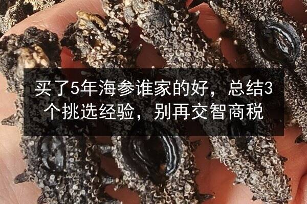 买了5年海参谁家的好,总结3个挑选经验,别再交智商税