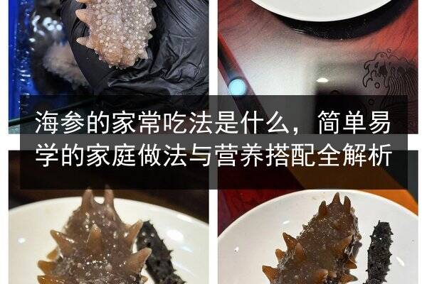 海参的家常吃法是什么,简单易学的家庭做法与营养搭配全解析