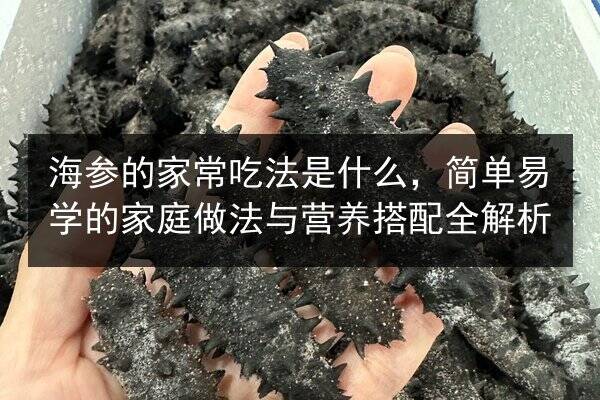 海参的家常吃法是什么,简单易学的家庭做法与营养搭配全解析