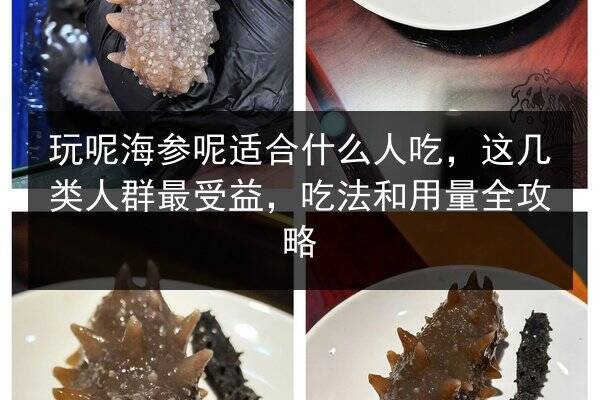 玩呢海参呢适合什么人吃,这几类人群最受益,吃法和用量全攻略