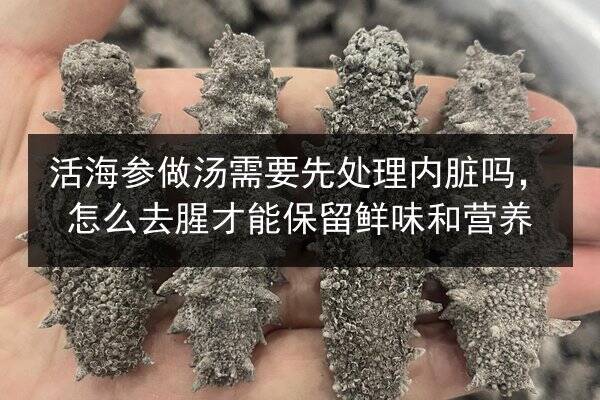 活海参做汤需要先处理内脏吗，怎么去腥才能保留鲜味和营养