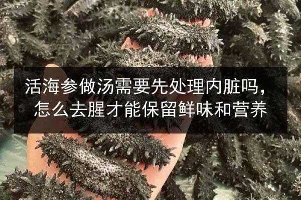 活海参做汤需要先处理内脏吗，怎么去腥才能保留鲜味和营养